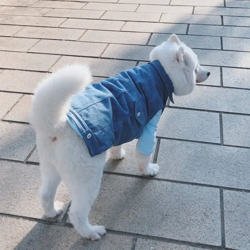 Big Dogs Fashion Jean Vest