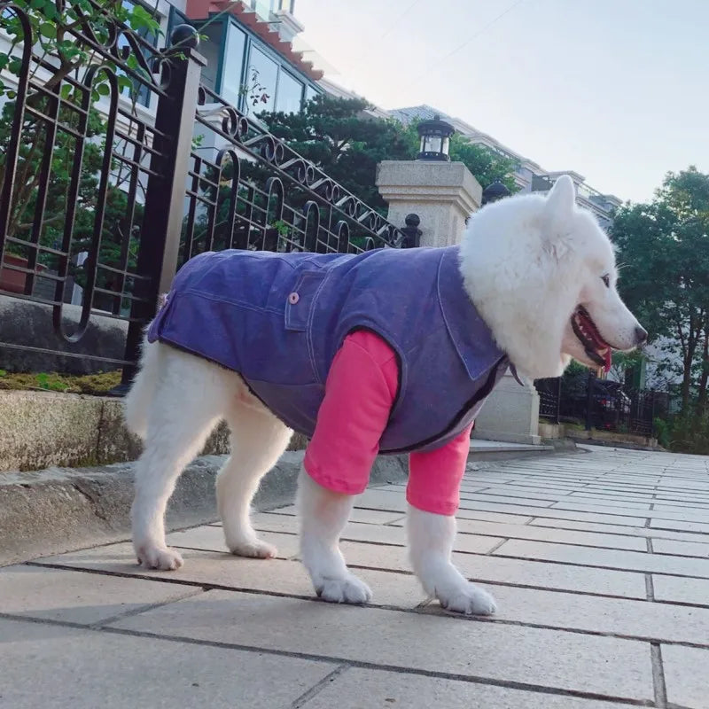 Big Dogs Fashion Jean Vest