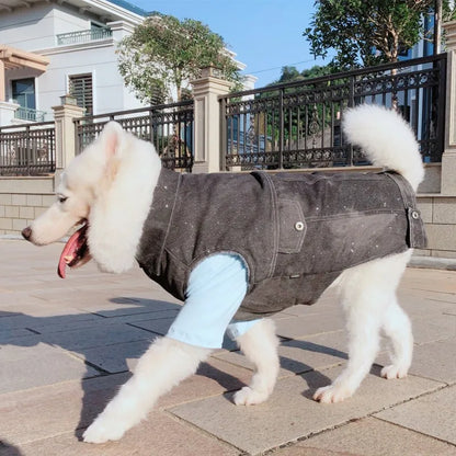 Big Dogs Fashion Jean Vest