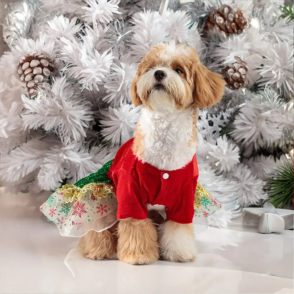 Christmas dress for dogs!